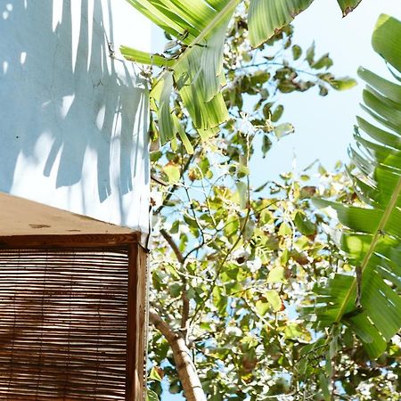 Вілла Tortuga Blue House In Banana Plantation Арукас Екстер'єр фото