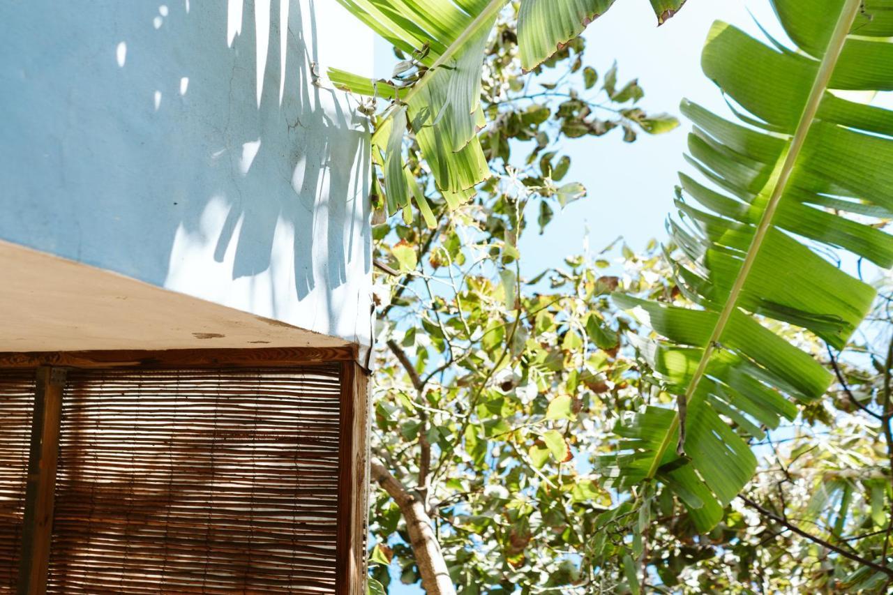 Вілла Tortuga Blue House In Banana Plantation Арукас Екстер'єр фото